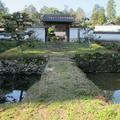 本光寺と椿の花（津山市一宮）