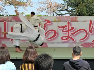 sakuramatsuri10.jpg