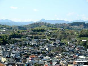 sakuramatsuri20.jpg