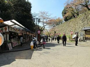 sakuramatsuri25.jpg