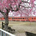 津山まなびの鉄道館（旧津山扇形機関車庫）