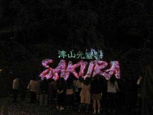 sakura01.jpg