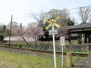 tateishi_4-6-39.jpg