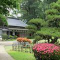 衆楽園の花たち