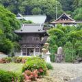 幻住寺（げんじゅうじ）のサツキ（美咲町）