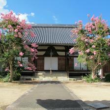 大圓寺の百日紅