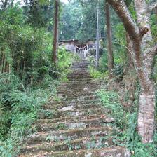 熊野神社（荒神山）