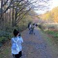 岡山県立森林公園で散歩