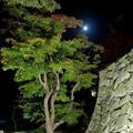 夜の津山城（鶴山公園）美つくりの里・旅するアート2016