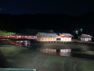 miyajima5.jpg