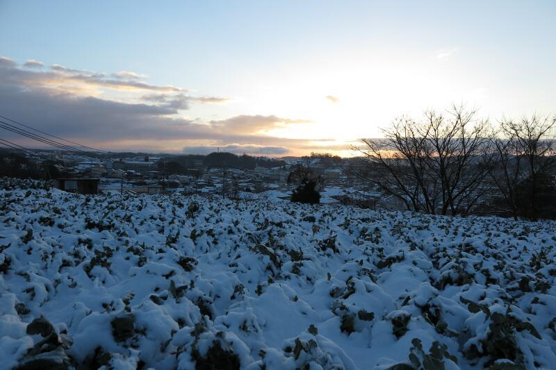 小田中の冬景色 - 津山瓦版