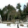 物見神社のモミ(加茂町物見)