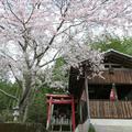 坂元稲荷神社　(津山市山方字古観音寺地内)