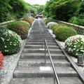 夢中山 幻住寺のさつき(美咲町北)