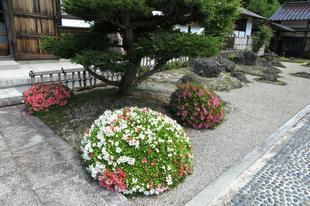 2017-6-4gejyuji-8.jpg