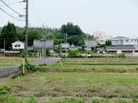 kokubunji2017-6-1.jpg