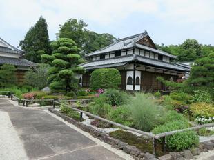 kokubunji2017-6-29.jpg