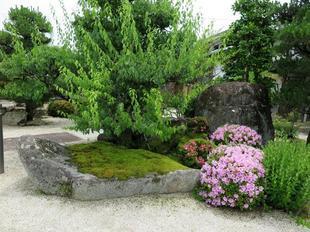 kokubunji2017-6-37.jpg