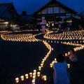 美作国万灯会が本源寺にて執り行われました。