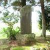 【津山人】国学者 道家大門(旧津山藩士、万葉調歌人 1830-1890)