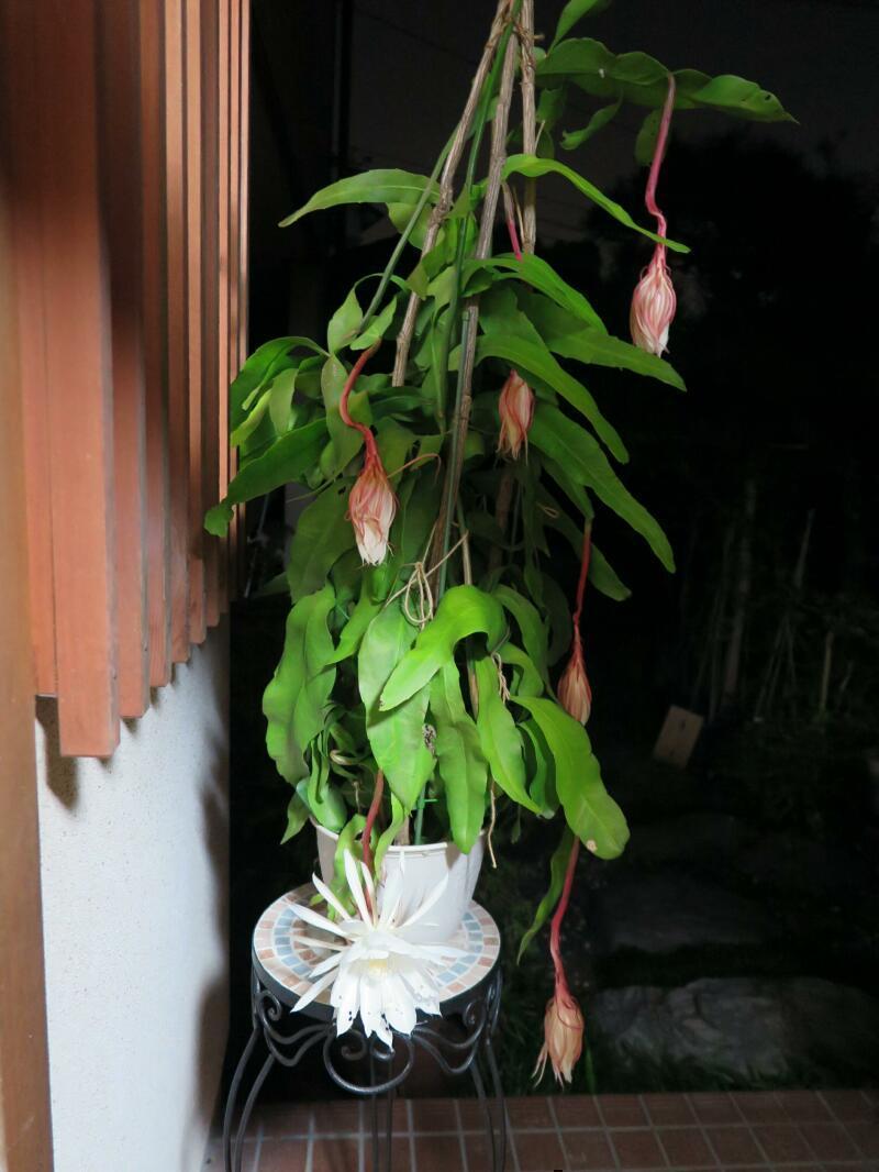 2017-10-09-10-thumb-800xauto-