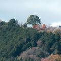 【津山人】田中富三郎（加茂町）