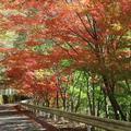 八塔寺川ダム公園（吉井川中流県立自然公園）