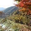 津川ダム湖周辺の紅葉