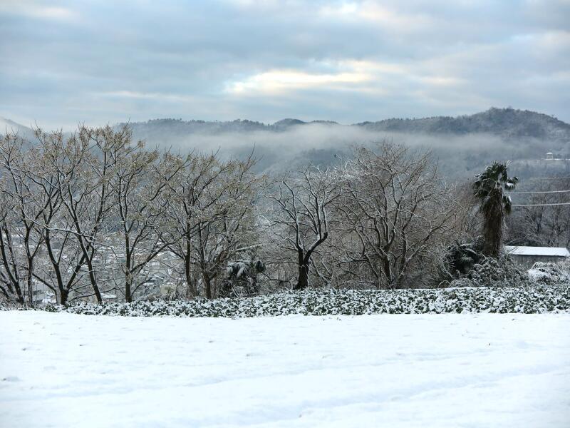 2018年1月14日津山の雪景色です。 - 津山瓦版