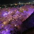 2018年の津山城（鶴山公園）の夜景