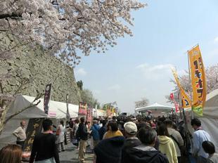 hanami4-45.jpg