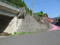 koiyamagata1.jpg