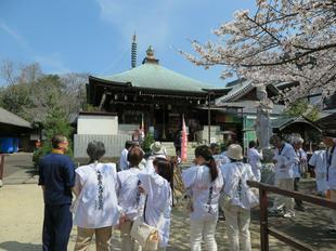 shikokumeguri31-3-11.jpg