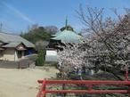 shikokumeguri31-3-14.jpg