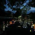 徳守神社の夏越祭の神事と万燈籠
