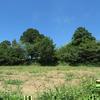 植月城跡(小山城)(宮山城)勝央町