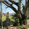 塞の神(野村)