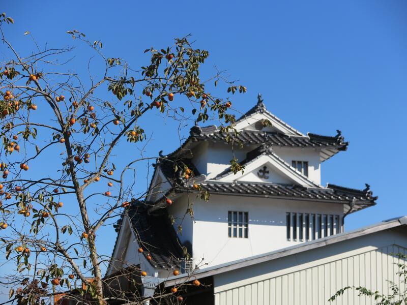 出雲街道 津山城東むかし町 2018 - 津山瓦版