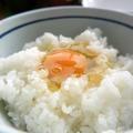 美咲町の「卵かけご飯」