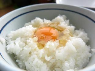 tamago11-22.jpg