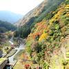 津川ダム公園の紅葉 2018