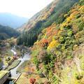 津川ダム公園の紅葉 2018