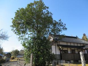 安養寺.jpg