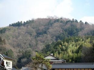 安養寺4.jpg