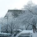 2019 津山城（鶴山公園）の雪景色