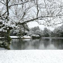 2019 雪の衆楽園