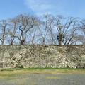 津山城の一番古い石垣