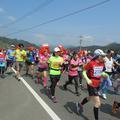 第27回 津山加茂郷フルマラソン全国大会