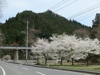 kawai4-17-14.jpg