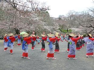 odori2019-4.jpg